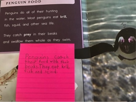 Penguins book with student sticky note